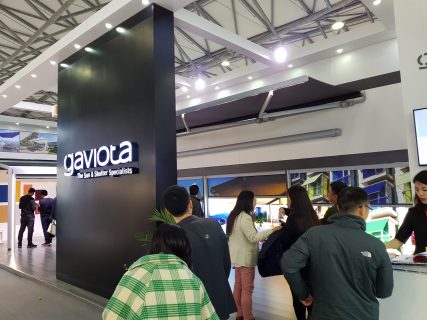 gaviota