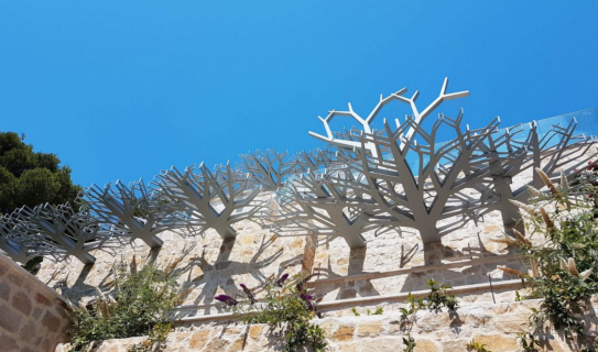 France Résilles - Arbres - Villa à Saint-Jean-Cap-Ferrat - Architecte : Architecture Mario FERNANDES 