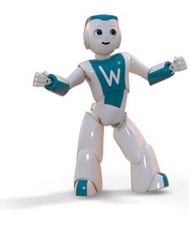 robot wizeo