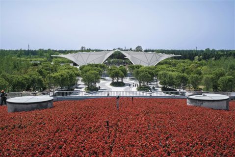 ferrari china flower expo